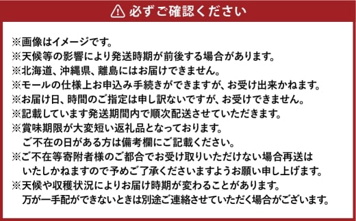 シャインマスカット晴王 3～6房 計約2kg 【2026年8月下旬～11月下旬まで順次発送予定】 マスカット 葡萄 ぶどう ブドウ 果物 フルーツ 岡山県 倉敷市