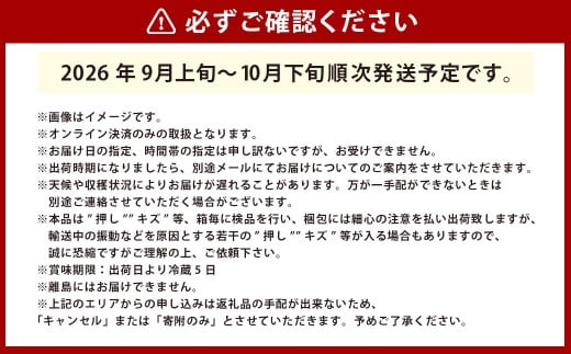 岡山県産シャインマスカット（ご家庭用）約1.2kg（2~3房）