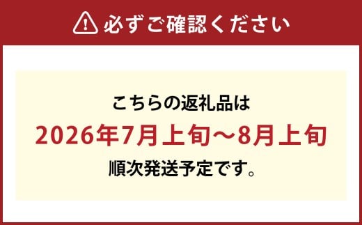葡萄詰合せ（シャインマスカット 晴王 2房（1房 580g以上）・ ニューピオーネ 1房（580g以上） ハウス栽培【2026年7月上旬～8月上旬まで順次発送予定】葡萄 ぶどう ブドウ ピオーネ マスカット フルーツ