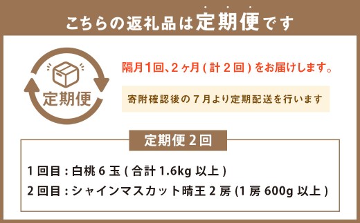 ［2026年先行予約］ 岡山県産 果物定期便 2回コース【2026年7月上旬～8月下旬まで順次発送予定】【もも 桃 シャインマスカット 果物 フルーツ 国産 人気 おすすめ 岡山県 倉敷市】