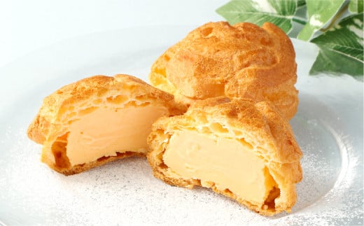 シューアイスセット 8個【シューアイス アイスクリーム アイス シュークリーム シューアイス セット セット返礼品 あっぱれたまご使用 岡山県 倉敷市】【2025年7月上旬-9月下旬 発送予定】