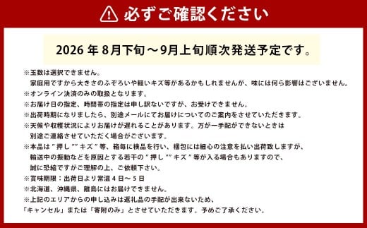 黄金桃（ご家庭用）6～9玉入り