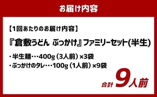 【6ヶ月定期便】『倉敷うどん ぶっかけ』ファミリーセット(半生) 9人前×6回 うどん 麺類 麺 半生 半生麺 ぶっかけうどん タレ つゆ 岡山県 倉敷市
