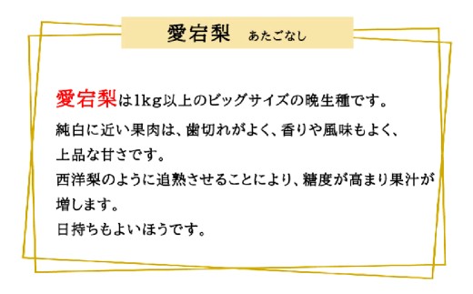 あたご梨 2玉 約1.8kg 【2026年11月下旬～12月下旬迄順次発送予定】 梨 なし ナシ 果物 フルーツ 岡山県 倉敷市