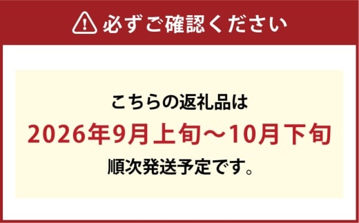 [HS]ぶどう 最高級品シャイン マスカット 晴王 1房 約700g