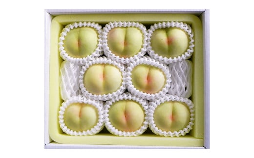 【ロイヤル】岡山白桃8玉入り（1玉220g以上） 計約1.8kg 【白桃 桃 もも モモ フルーツ 果物 岡山県 倉敷市 おすすめ 人気】【2026年7月上旬～8月下旬 発送予定】