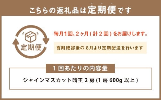 岡山県産 シャインマスカット 晴王 2房（1房600g以上） 2回定期便【2026年8月下旬～9月下旬まで順次発送予定】【シャインマスカット 果物 フルーツ 国産 人気 おすすめ 岡山県 倉敷市】