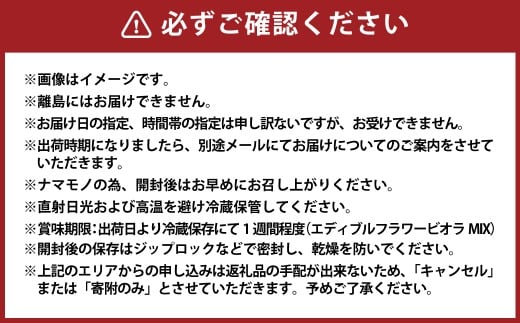 エディブルフラワービオラMIX（20輪入り）2種4パックセット【食べられるお花 栽培期間中 農薬不使用】