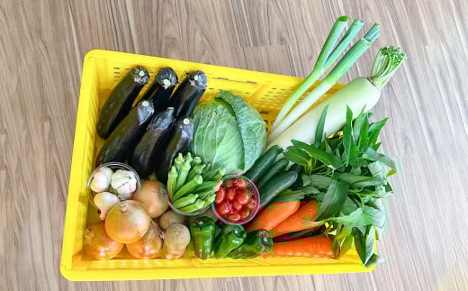 【思いやり型返礼品】倉敷市真備町みんな農園旬の農産物セット【農産物 野菜 農園 新鮮 畑 やさい 美味しい おいしい 真備町 岡山県 倉敷市 おすすめ 人気】