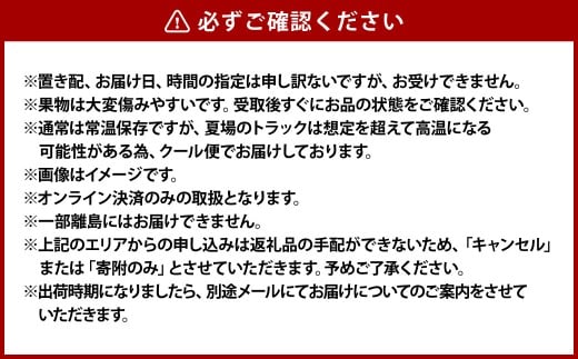 果物詰合せ 合計約1.8kg（白桃（晩生種）3玉・シャインマスカット 1房・ニュー ピオーネ 1房）岡山 フルーツ 白桃 シャインマスカット ニューピオーネ 詰め合わせ 果実【2026年8月下旬～9月下旬発送予定】