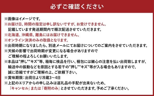 ご家庭用 ニュー ピオーネ（優品） 3房入り （1房 530g以上） 露地栽培　【2026年9月上旬～10月下旬 発送予定】【葡萄 ぶどう ニューピオーネ 果物 フルーツ 国産 人気 おすすめ 岡山県 倉敷市】