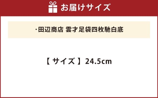 雲才足袋四枚馳白底【24.5cm】