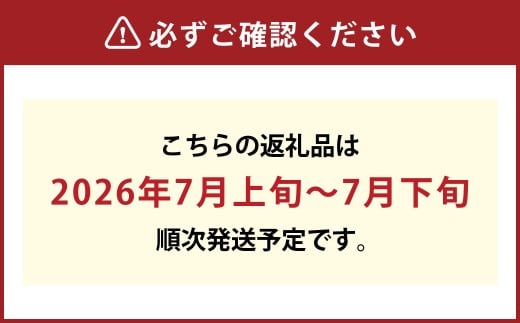 白桃 8玉（合計約2.0kg）果物 デザート スイーツ フルーツ 果肉 美味しい 甘い 柔らかい 上品【2026年7月上旬～7月下旬迄順次発送予定】