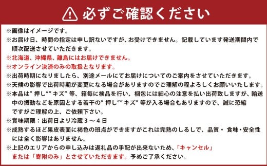 シャインマスカット晴王 2房入り（1房 580g以上） 加温栽培【2026年7月上旬～8月上旬まで順次発送予定】マスカット フルーツ 岡山フルーツ おすすめフルーツ 岡山県 倉敷市