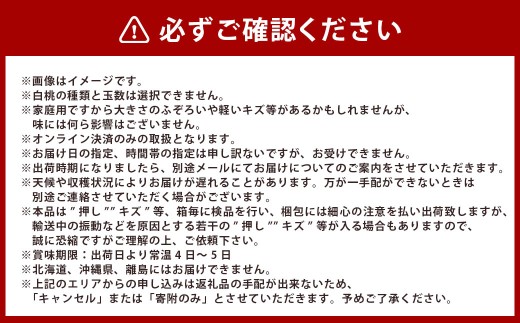岡山白桃・晩生（ご家庭用）6～9玉入り