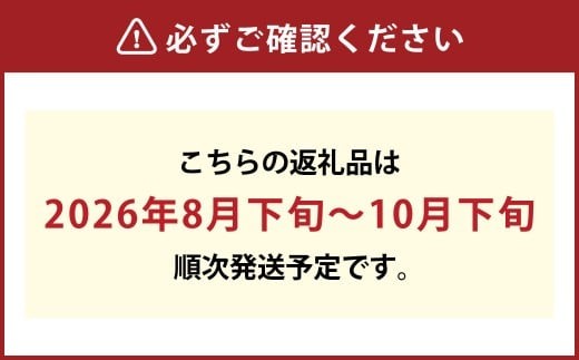 《ご家庭用》ニュー ピオーネ 3～5房（約2.0kg）　ブドウ 葡萄 岡山県産 国産 フルーツ 果物 岡山県 倉敷市 　【2026年8月下旬～10月下旬発送予定】