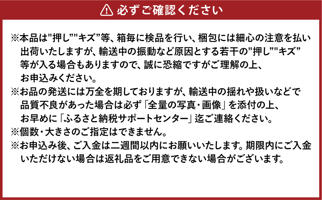 先行予約 岡山県産 ニューピオーネ 約2kg（3～6房）【2026年8月下旬～10月下旬まで順次発送予定】 葡萄 ぶどう ブドウ ピオーネ 大粒 種なし 種無し 果物 フルーツ 冷蔵 岡山県 倉敷市