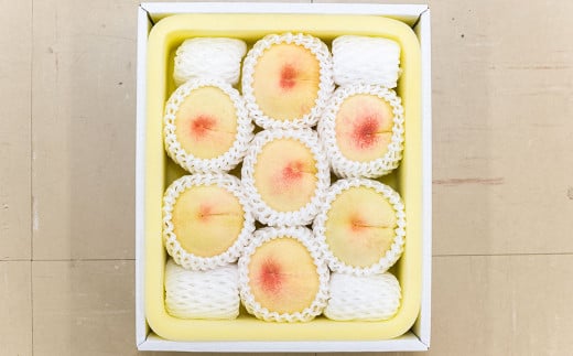 倉敷の白桃 7～8玉 約2kg 浅原選果場から直送でお届け【2025年7月上旬-8月下旬 発送予定】