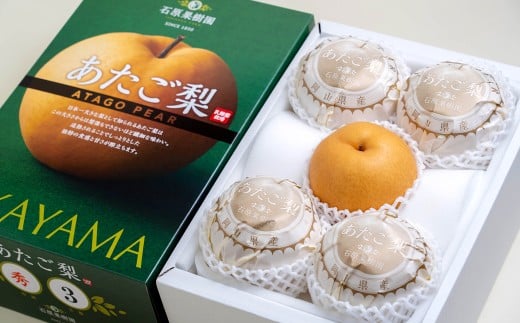 あたご梨 3～6玉 合計約3kg 化粧箱