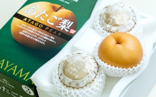 あたご梨 3～4玉 合計約1.5kg 化粧箱