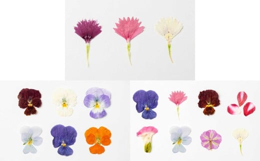 押し花MIX（20輪入り）3種3パックセット【食べられるお花 栽培期間中 農薬不使用】
