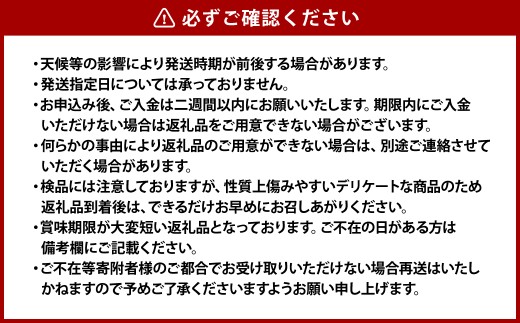 白桃 3玉（合計約800g）果物 デザート スイーツ フルーツ 果肉 美味しい 甘い 柔らかい 上品【2026年7月上旬～7月下旬迄順次発送予定】