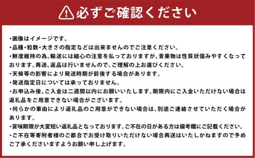 いちご おまかせ 4パック 箱詰め 約1080g 倉敷産 イチゴ いちご 苺 フルーツ 果物 詰め合わせ セット【2025年12月上旬～2026年3月下旬迄順次発送予定】