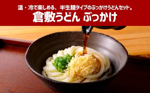 【3ヶ月定期便】『倉敷うどん ぶっかけ』ファミリーセット(半生) 12人前×3回 うどん 麺類 麺 半生 半生麺 ぶっかけうどん タレ つゆ 岡山県 倉敷市