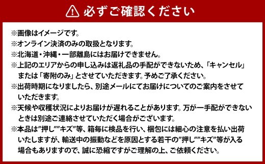 《ご家庭用》ニュー ピオーネ 3～5房（約2.0kg）　ブドウ 葡萄 岡山県産 国産 フルーツ 果物 岡山県 倉敷市 　【2026年8月下旬～10月下旬発送予定】