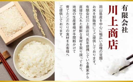 あきたこまち 10kg