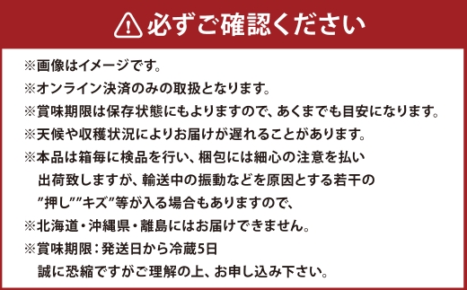 【定期便 全2回／2026年9・10月発送】 岡山県産シャインマスカット 晴王 2房 約1.3kg｜2回定期便 9月10月に1回づつ発送 種無し 皮ごと食べる 旬の美味しさ フレッシュ 先行予約 ハレノフルーツ