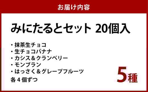 みにたると20個セット【ケーキ タルト フルーツ スイーツ フルーツタルト 人気スイーツ 人気タルト 岡山県 倉敷市 おすすめ 人気】