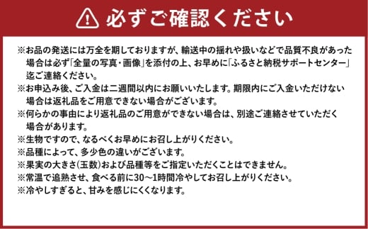 岡山白桃 ロイヤル 5～10玉 計約2kg