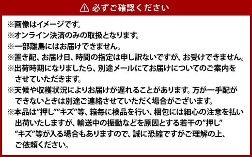 《ご家庭用》 シャインマスカット 2～3房（合計約1.2kg） マスカット ぶどう 葡萄 岡山県産 種無し 皮ごと食べる 岡山県 倉敷市 【2026年9月上旬～10月下旬 発送予定】