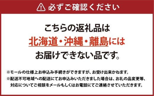 【Ortolano】ファーストクラスのサラダ＆セロリドレッシングセット S-2
