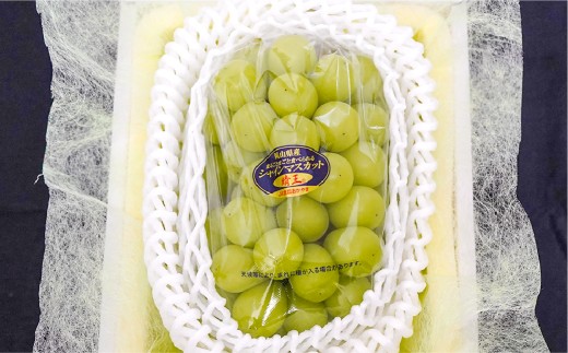 KOJIMA GENESキーホルダー＋家庭用晴王 2房（1房約約530g以上）