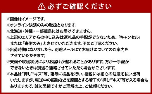 《ご家庭用》 おかやまの黄金桃 5～6玉 （約1.3kg） もも 桃 黄金桃 岡山県産 国産 フルーツ スイーツ 大玉 果肉 美味しい 甘い 柔らかい 岡山県 倉敷市 【2026年8月下旬～9月下旬発送予定】