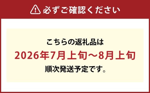 【先行予約】岡山県産　白桃6玉（1.6kg以上）化粧箱入り【2026年7月上旬～8月上旬まで順次発送予定】【もも 桃 白桃 果物 フルーツ 国産 人気 おすすめ 岡山県 倉敷市】