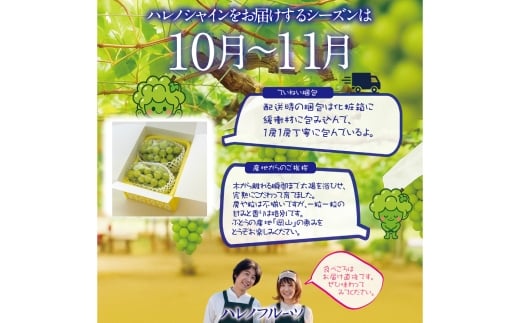 【 先行予約 】 訳あり 木熟ぶどう ハレノシャイン シャインマスカット 2房 約1.2kg