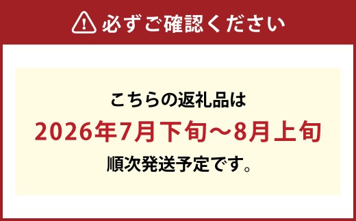 清水白桃 8玉（合計約2.0kg）果物 デザート スイーツ フルーツ 果肉 美味しい 甘い 柔らかい 上品 高級品種 贈り物 ギフト【2026年7月下旬～8月上旬迄順次発送予定】
