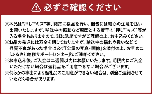 シャインマスカット晴王 約600g×1房