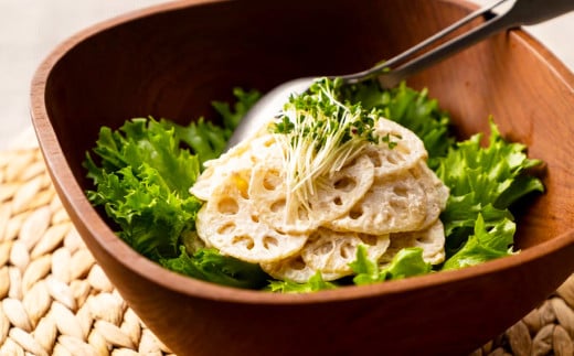 連島れんこん 家庭用 1節もの 5kg 【2025年9月上旬-2026年4月下旬 発送予定】