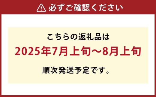 【加温栽培（晴王）】岡山県産シャインマスカットつる付き1房入り（1房680ｇ以上）【2025年7月上旬-8月上旬 発送予定】【シャインマスカット シャイン マスカット 人気フルーツ 岡山フルーツ おすすめフルーツ 岡山県 倉敷市】