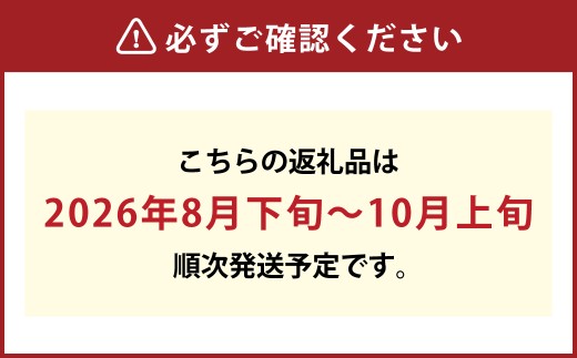 【先行予約】岡山県産 シャインマスカット 『晴王』 2房（1房600g以上）化粧箱入り【2026年8月下旬～10月上旬まで順次発送予定】【シャインマスカット フルーツ 国産 人気 おすすめ 岡山県 倉敷市】
