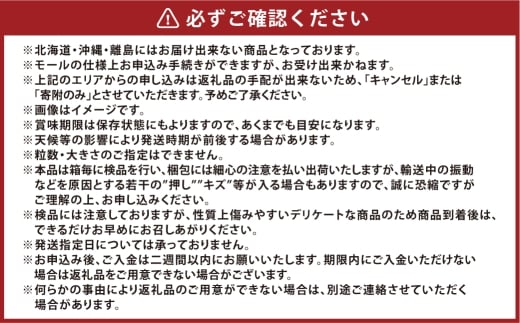 [HS]ぶどう 最高級品シャイン マスカット 晴王 1房 約650g