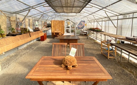 【苔玉づくり】ペア体験チケット（２個ずつ制作）【体験券 体験チケット ペアチケット 苔玉作り 倉敷グリーンファーム 植物 岡山県 倉敷市 おすすめ 人気】