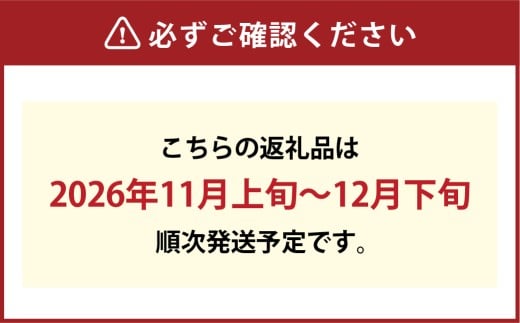 常緑樹のChristmasリース