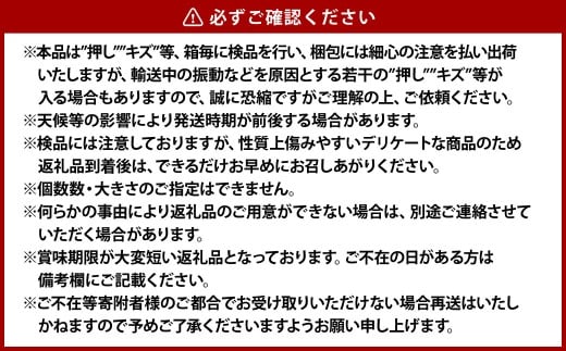 白桃 晩生種 5～6玉（約1.3kg）岡山 桃 晩生種 白麗 瀬戸内白桃 大玉 果実 固め 果肉【2026年8月上旬～9月下旬発送予定】