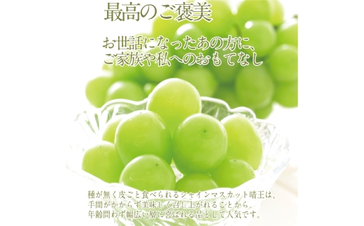 プレミアム シャインマスカット 晴王 2房 約1.4kg 種無し 皮ごと食べる フレッシュ 旬の美味しさ【2026年9月上旬-10月下旬 発送予定】【シャインマスカット マスカット ぶどう 葡萄 岡山県産 種無し 皮ごと食べる みずみずしい 9月～10月お届け フレッシュ 晴れの国おかやま 果物大国 贈答品 彩美菜果 岡山県 倉敷市】