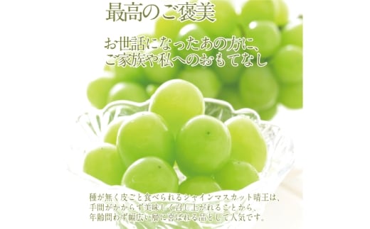 プレミアム シャインマスカット 晴王 1房 約600g【2026年9月上旬-10月下旬 発送予定】 【シャインマスカット マスカット ぶどう 葡萄 岡山県産 種無し 皮ごと食べる みずみずしい 9月～10月お届け フレッシュ 晴れの国おかやま 果物大国 贈答品 彩美菜果 岡山県 倉敷市】